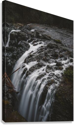 Into the deep Canvas Print