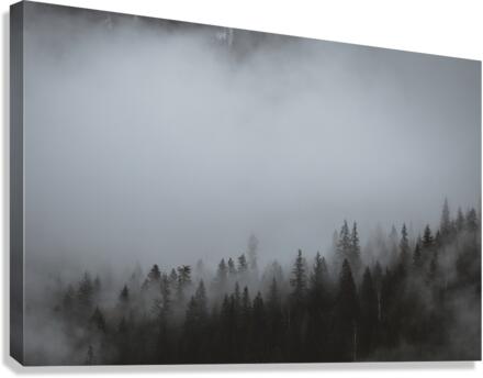 Foggy Forest Canvas Print