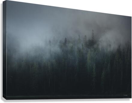 Misty Forest Canvas Print
