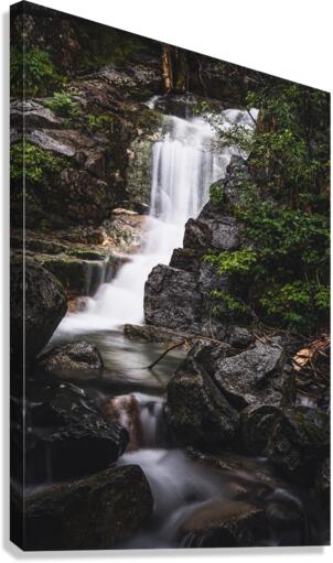 Under the Bridge Canvas Print
