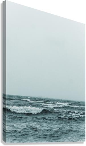 Waves Canvas Print
