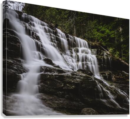 Revelstoke Canvas Print