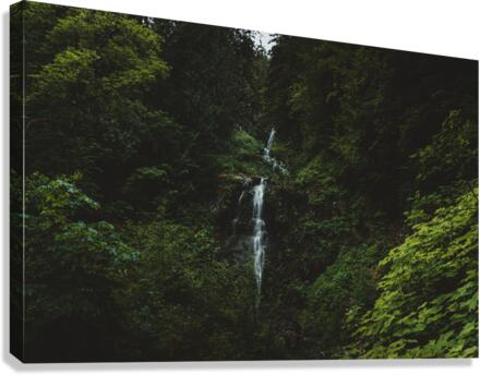 Waterfalls Canvas Print