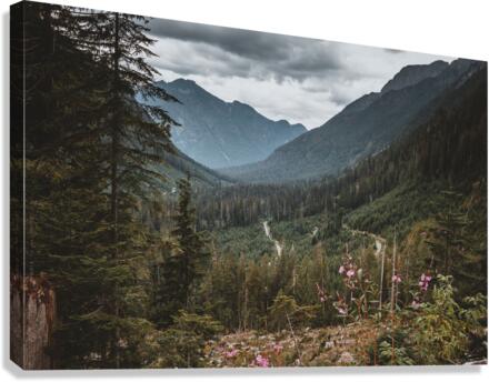 The Valley Canvas Print