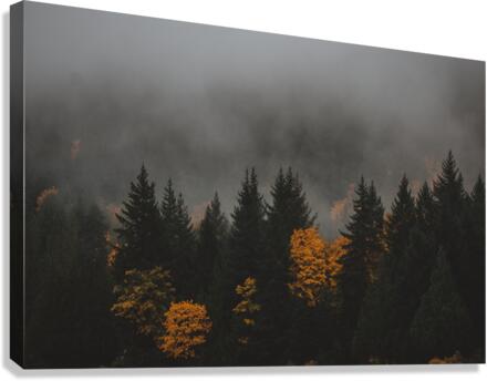 Fall Canvas Print
