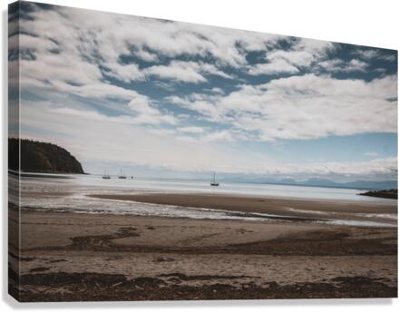Low Tide Canvas Print