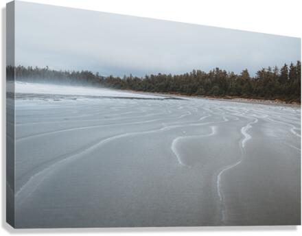 The Beach Canvas Print