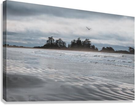 Fly Canvas Print