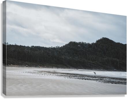 Surfs up Canvas Print