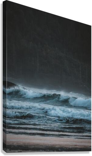Tofino Waves Canvas Print