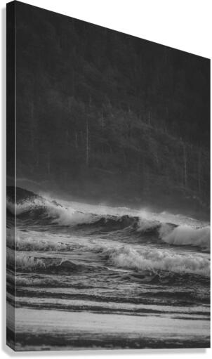 Waves B&W Canvas Print