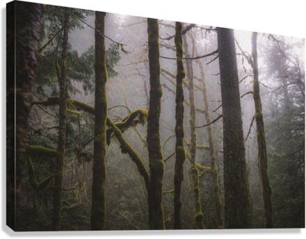 Breathe Canvas Print