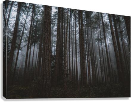 Mystery Canvas Print
