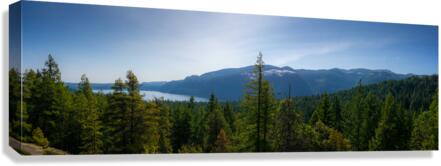 What a View Canvas Print