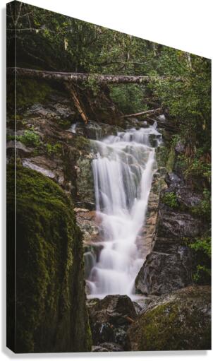 Hidden Falls Canvas Print