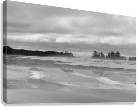 Winter Beach Canvas Print