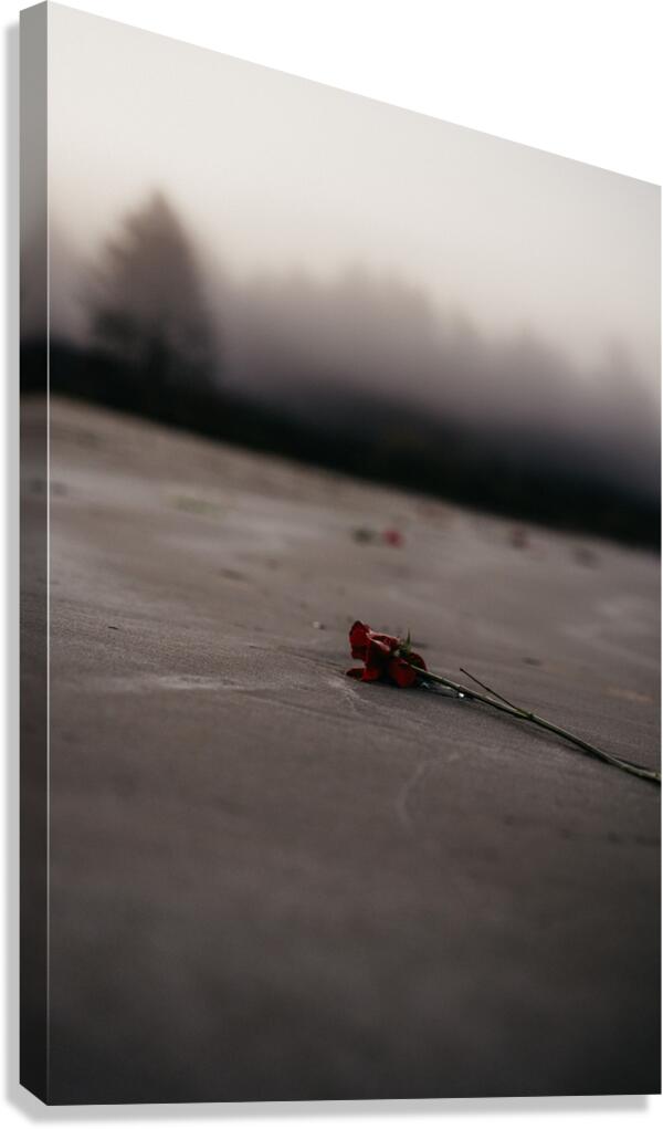 Lost Love Canvas Print