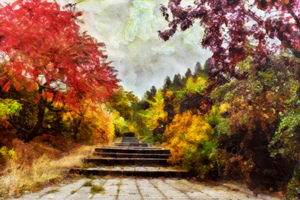Beautiful Stairs 