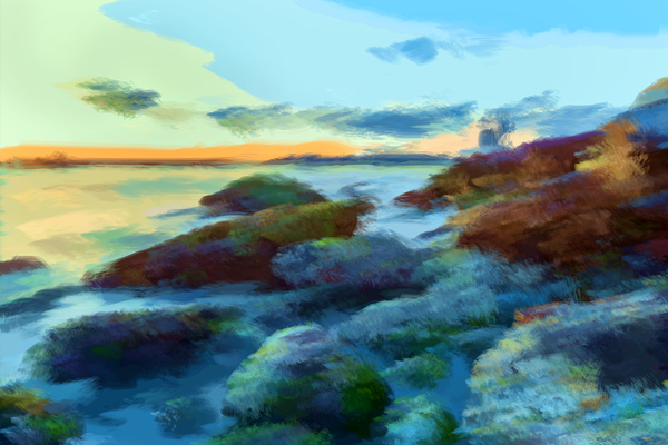 Beach Rocks  Print