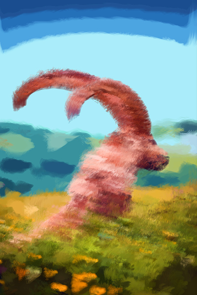 Goat Profile  Print