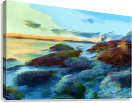 Beach Rocks  Canvas Print