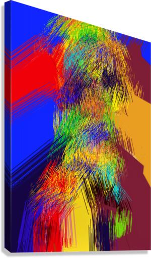 Dancer  Canvas Print