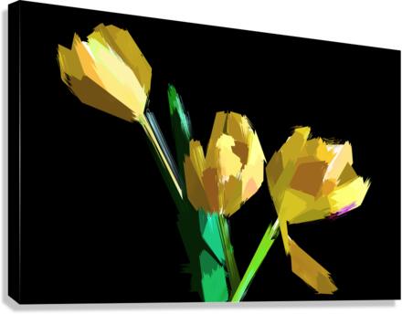 Abstract Flowers  Canvas Print