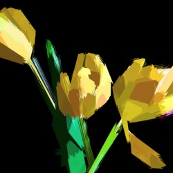 Abstract Flowers 