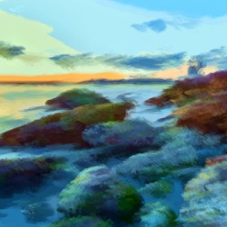 Beach Rocks 