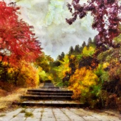 Beautiful Stairs 