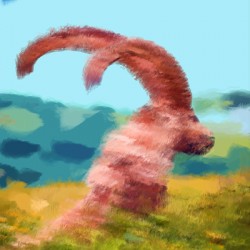 Goat Profile 