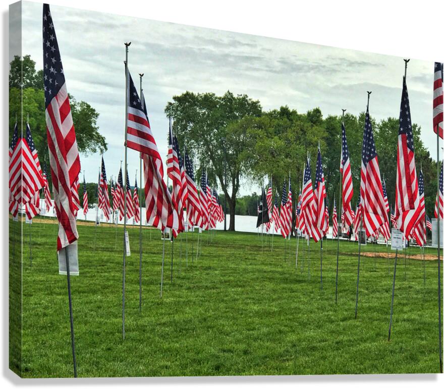 Flags for Memorial Day Canvas Print
