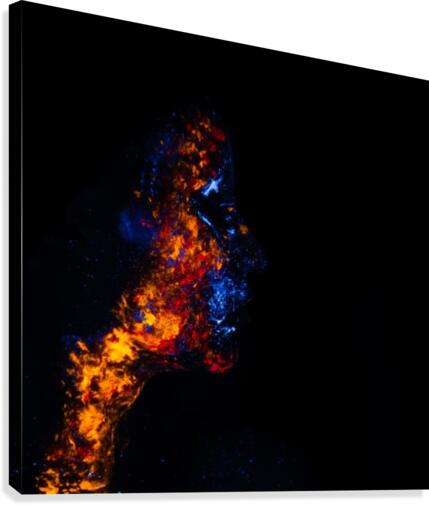 Fire within Canvas Print