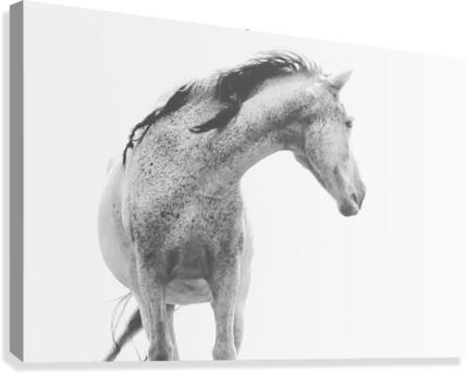 Be Strong Canvas Print