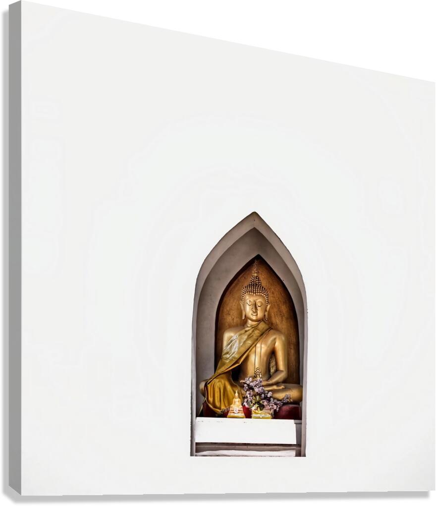 World8 Canvas Print