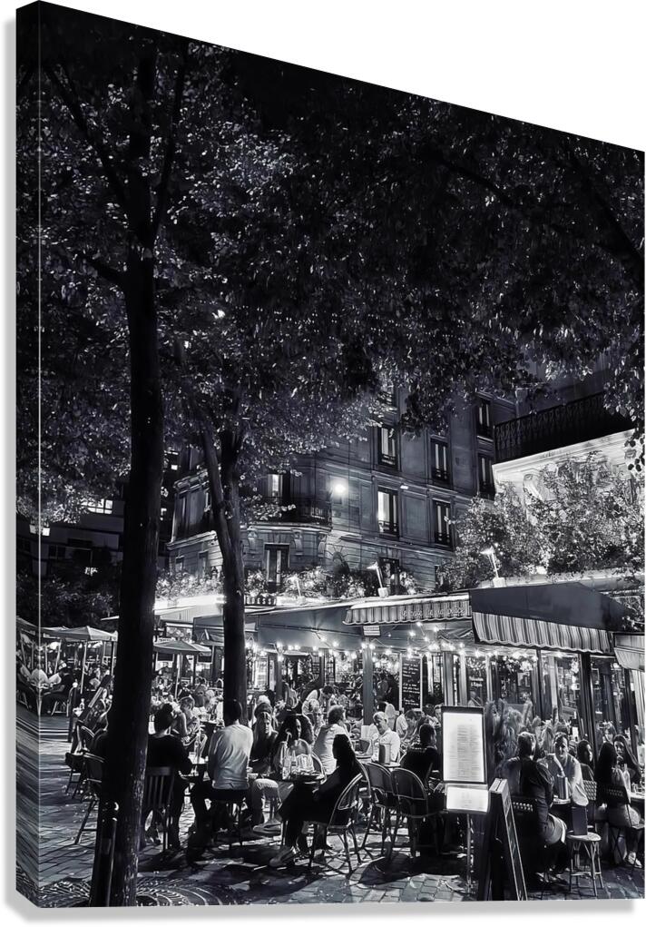 BW 25 Canvas Print