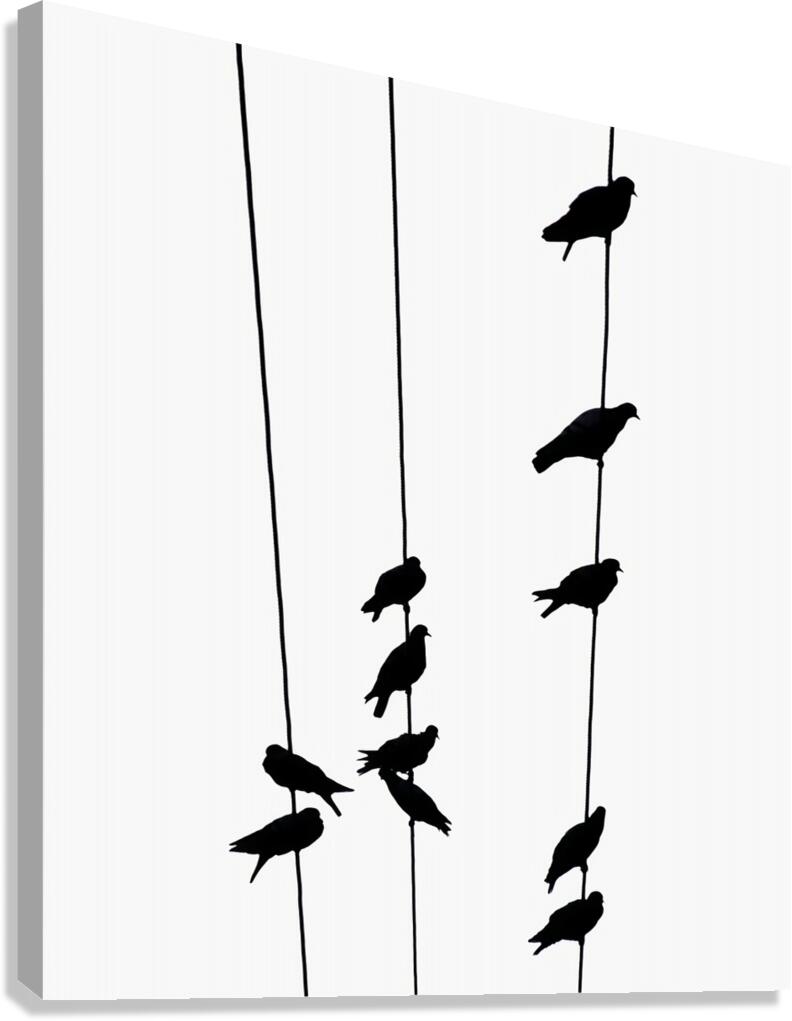 BW 8 Canvas Print