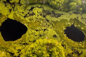 Look from below 02