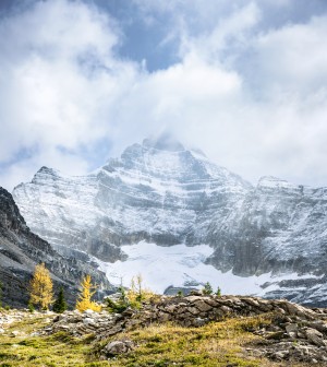 Magnificent in nature