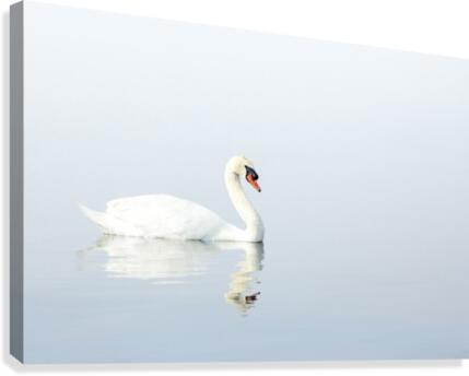 Elegance Canvas Print