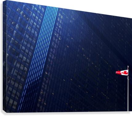 New age Canvas Print