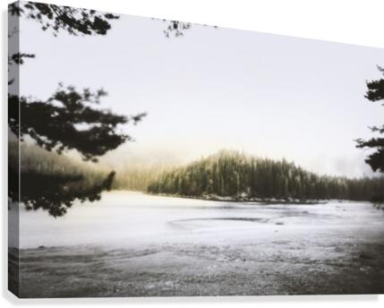 Spark  Canvas Print