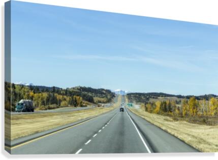 Distant madness Canvas Print
