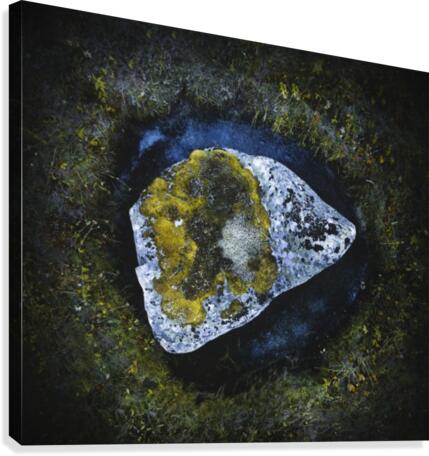 Flying stone Canvas Print