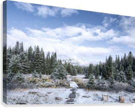 Step out Canvas Print
