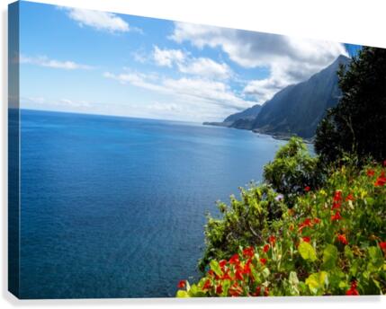 Vertical garden  Canvas Print