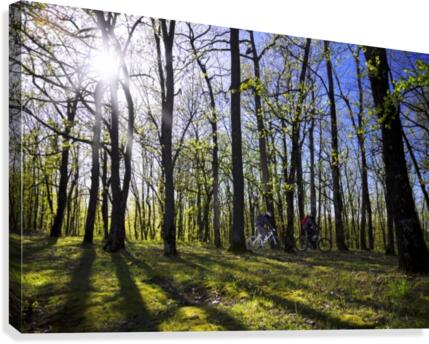 Idyllic ride Canvas Print