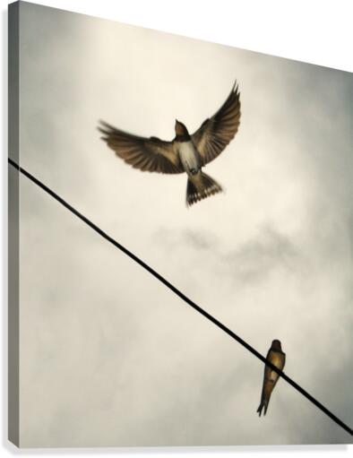 Leave it Canvas Print