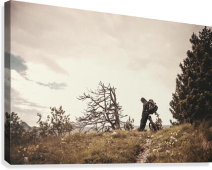Rest Canvas Print