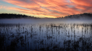 Peaceful sunset